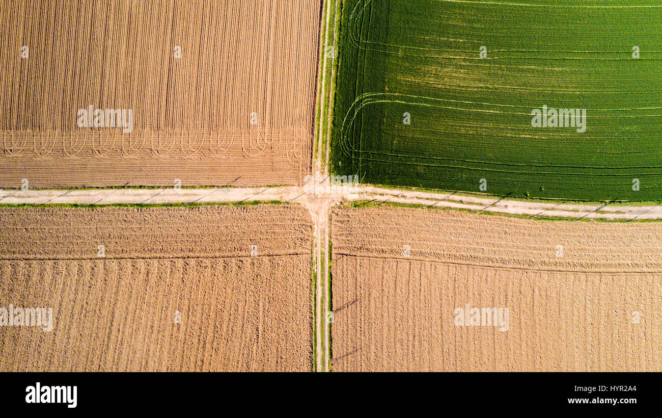 Natur und Landschaft: Luftaufnahme von einem Feld, Anbau, grasgrün, Landschaft, Landwirtschaft, Feldweg Stockfoto