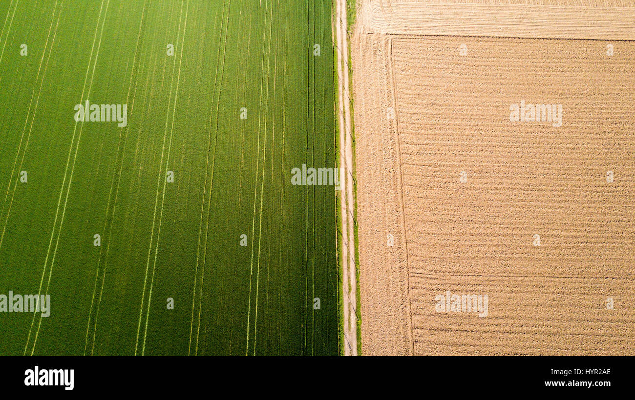 Natur und Landschaft: Luftaufnahme von einem Feld, Anbau, grasgrün, Landschaft, Landwirtschaft, Feldweg Stockfoto