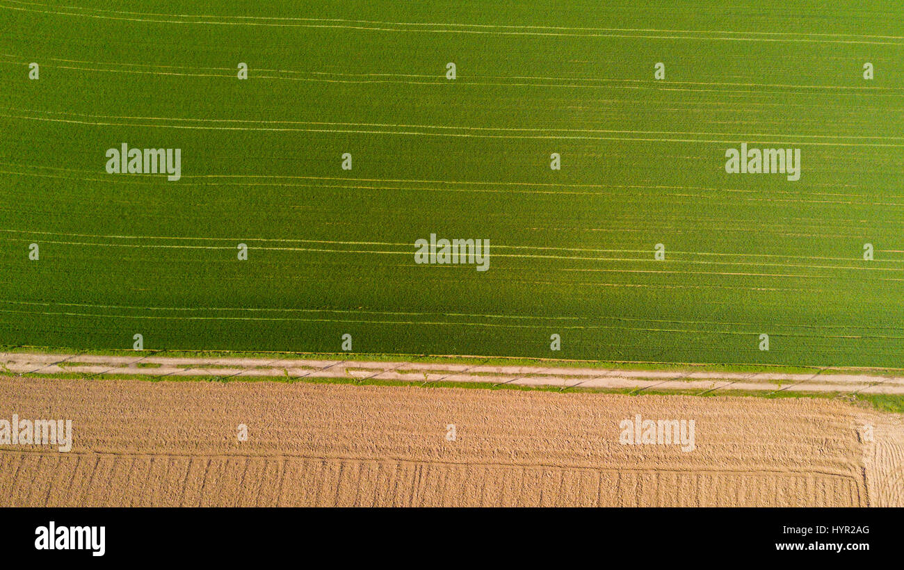 Natur und Landschaft: Luftaufnahme von einem Feld, Anbau, grasgrün, Landschaft, Landwirtschaft, Feldweg Stockfoto