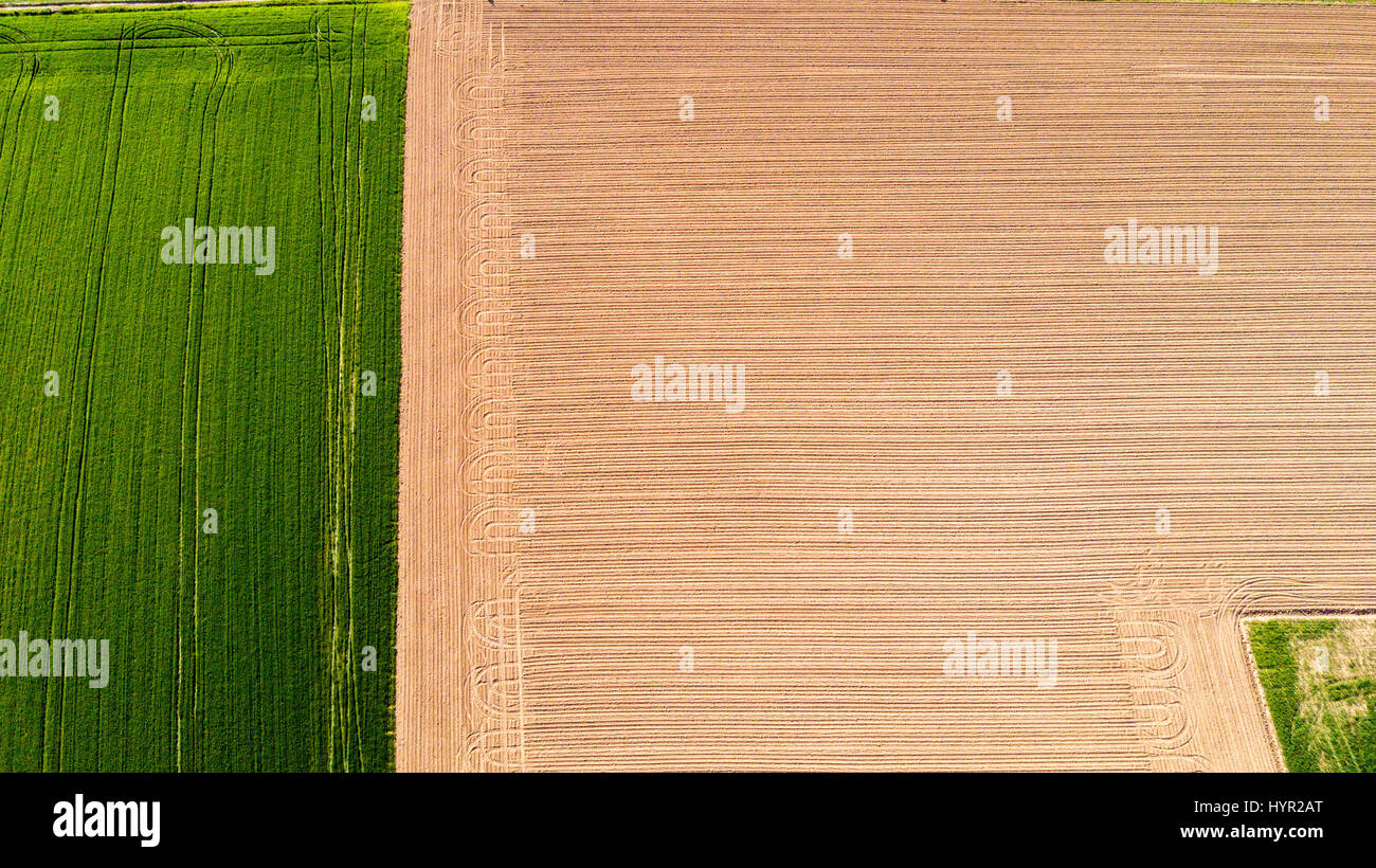 Natur und Landschaft: Luftaufnahme von einem Feld, Anbau, grasgrün, Landschaft, Landwirtschaft, Feldweg Stockfoto