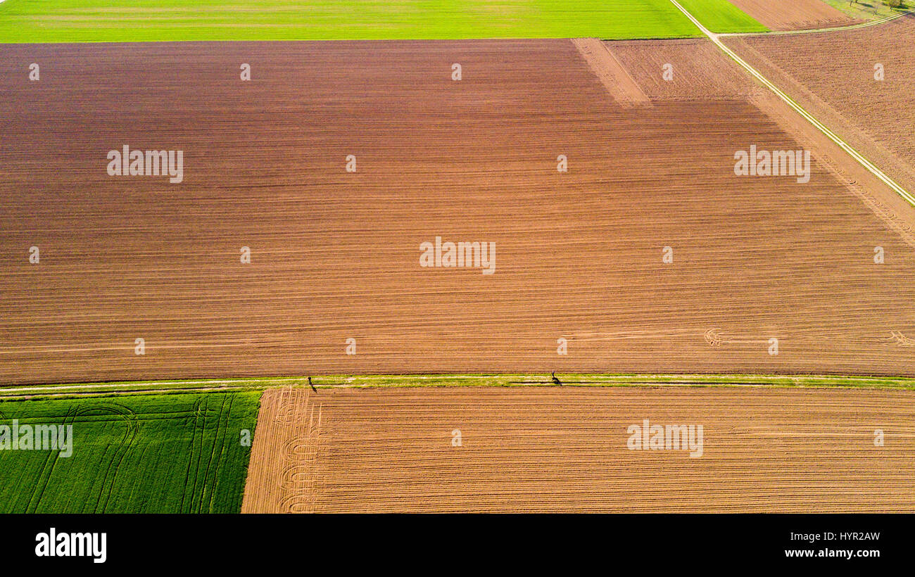 Natur und Landschaft: Luftaufnahme von einem Feld, Anbau, grasgrün, Landschaft, Landwirtschaft, Feldweg Stockfoto