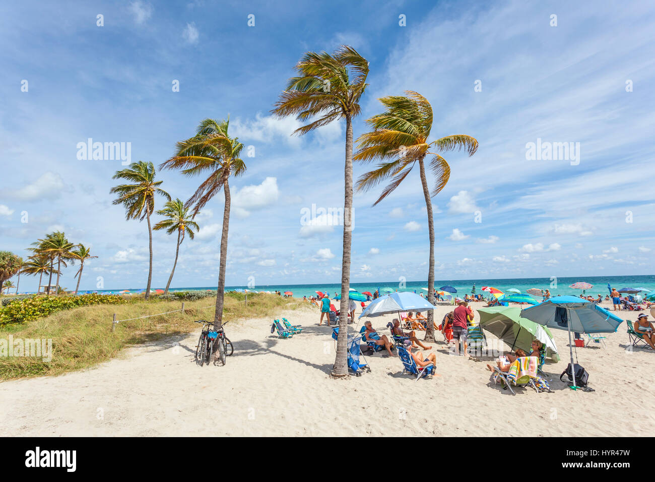 Hollywood Beach, Fl, USA - 13. März 2017: Menschen entspannen unter Palmen am Hollywood Strand an einem sonnigen Tag im März. Florida, United States Stockfoto