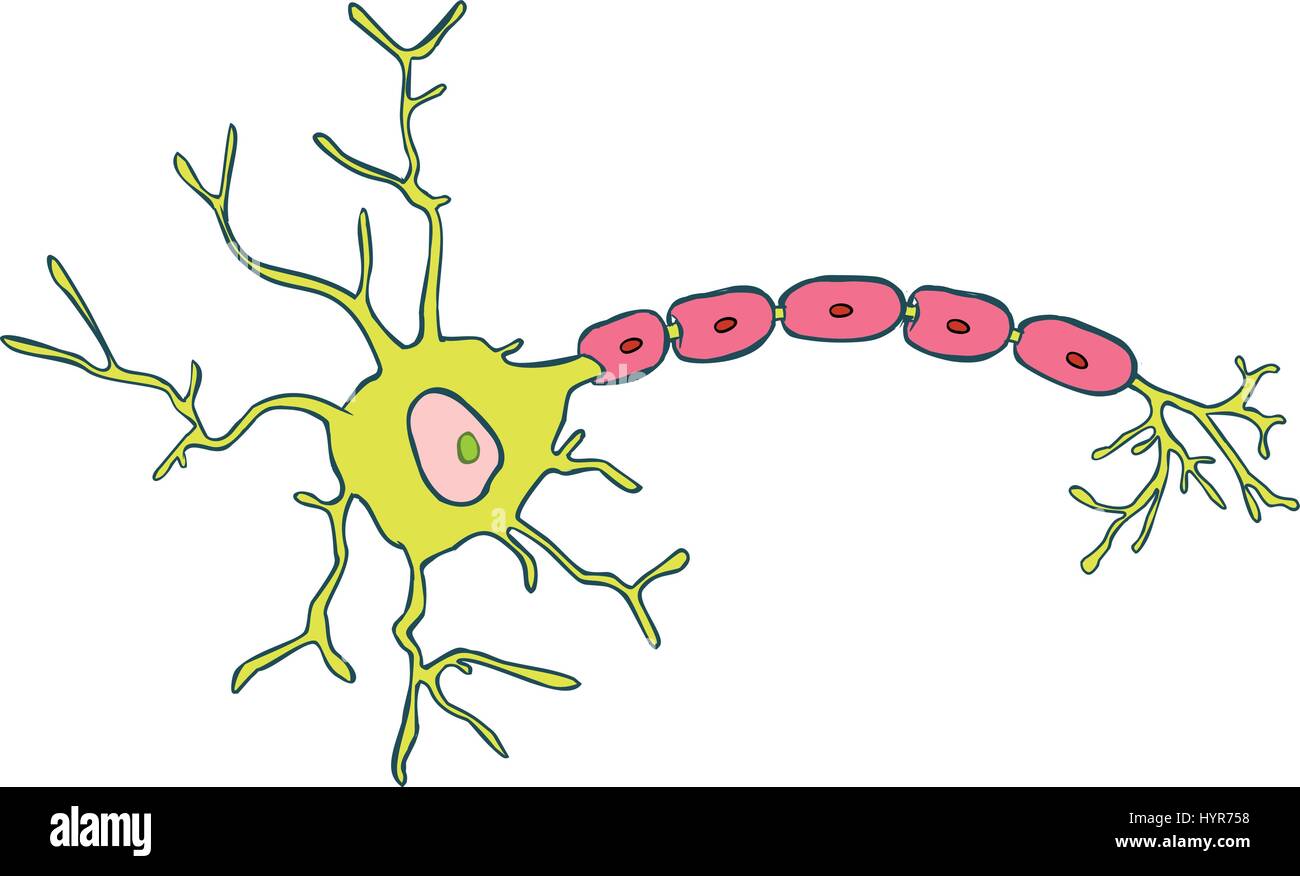 Weißer Hintergrund Vector Illustration eines Neurons Stock Vektor
