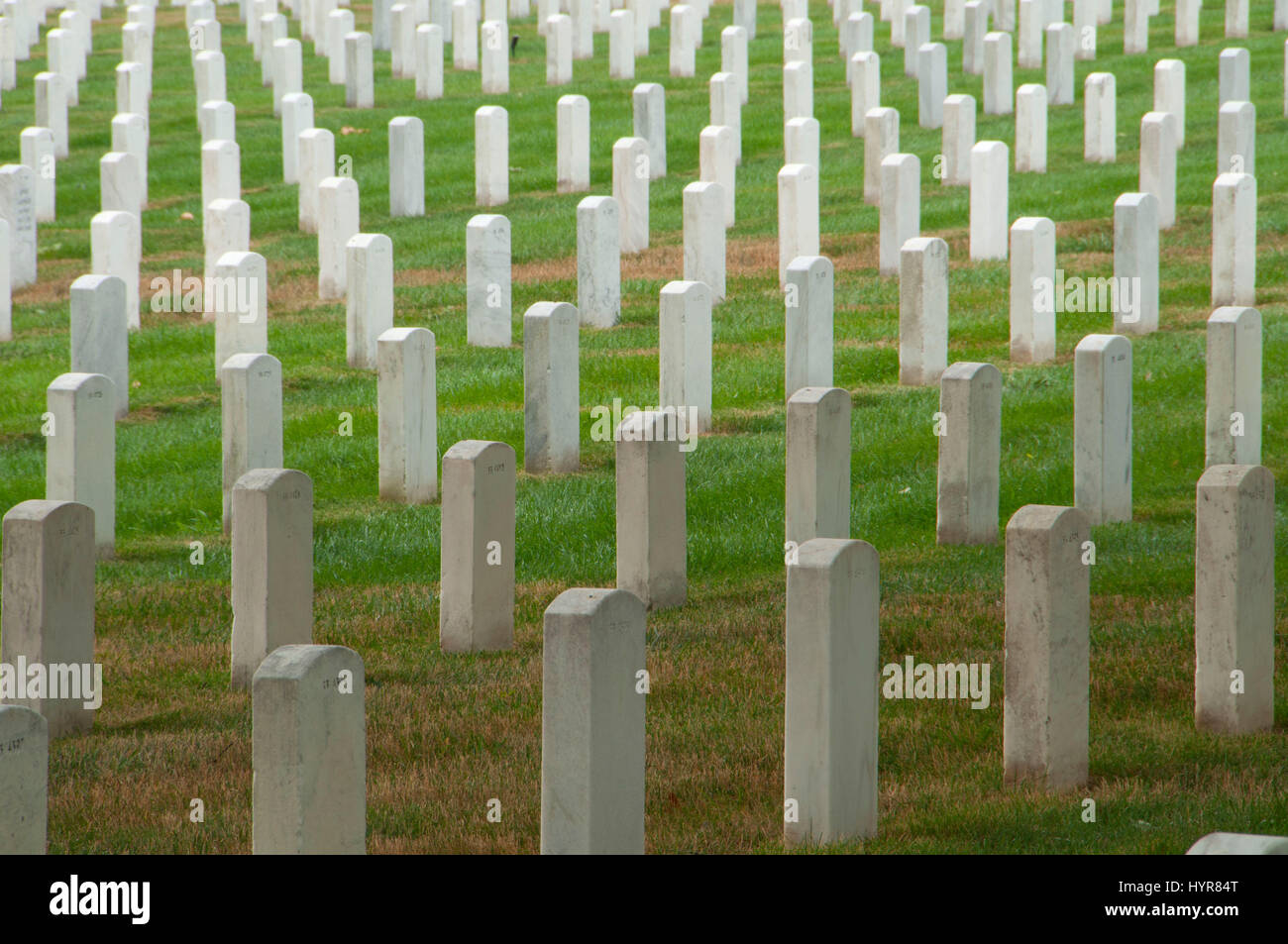 Grabsteine, Nationalfriedhof Arlington, Virginia Stockfoto