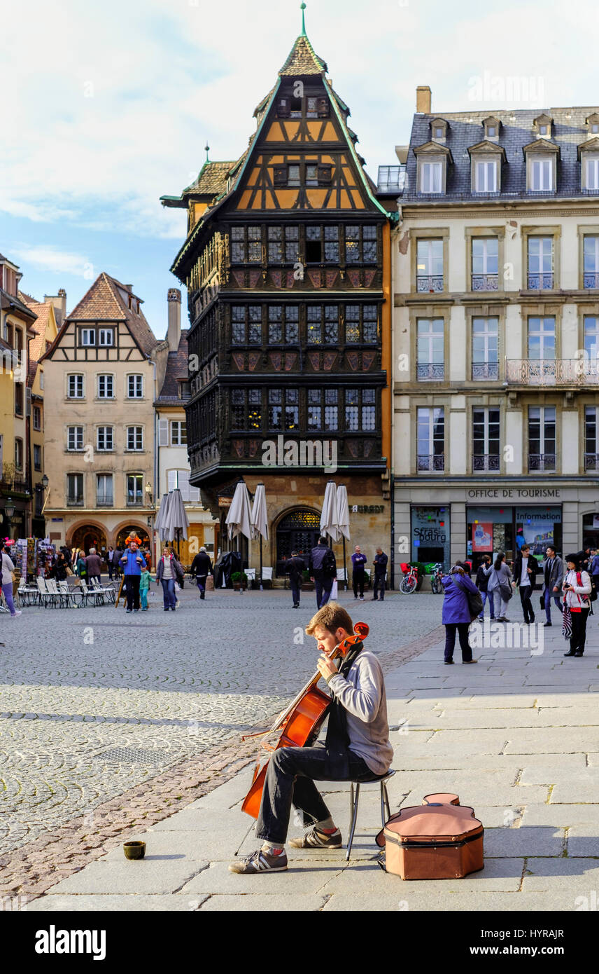 Mann, der das Cello spielt, Straßenkünstler, Maison Kammerzell mittelalterliches Haus in der Ferne, Domplatz, Straßburg, Elsass, Frankreich, Europa Stockfoto