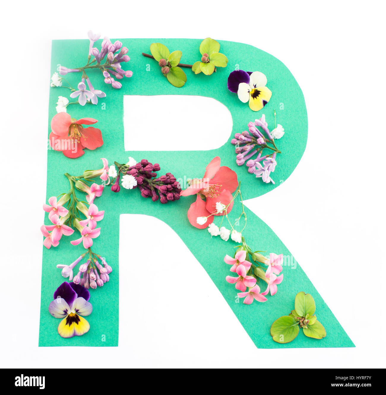 Buchstabe R gemacht von Frühlingsblumen und Papier auf weißem Hintergrund. Stockfoto