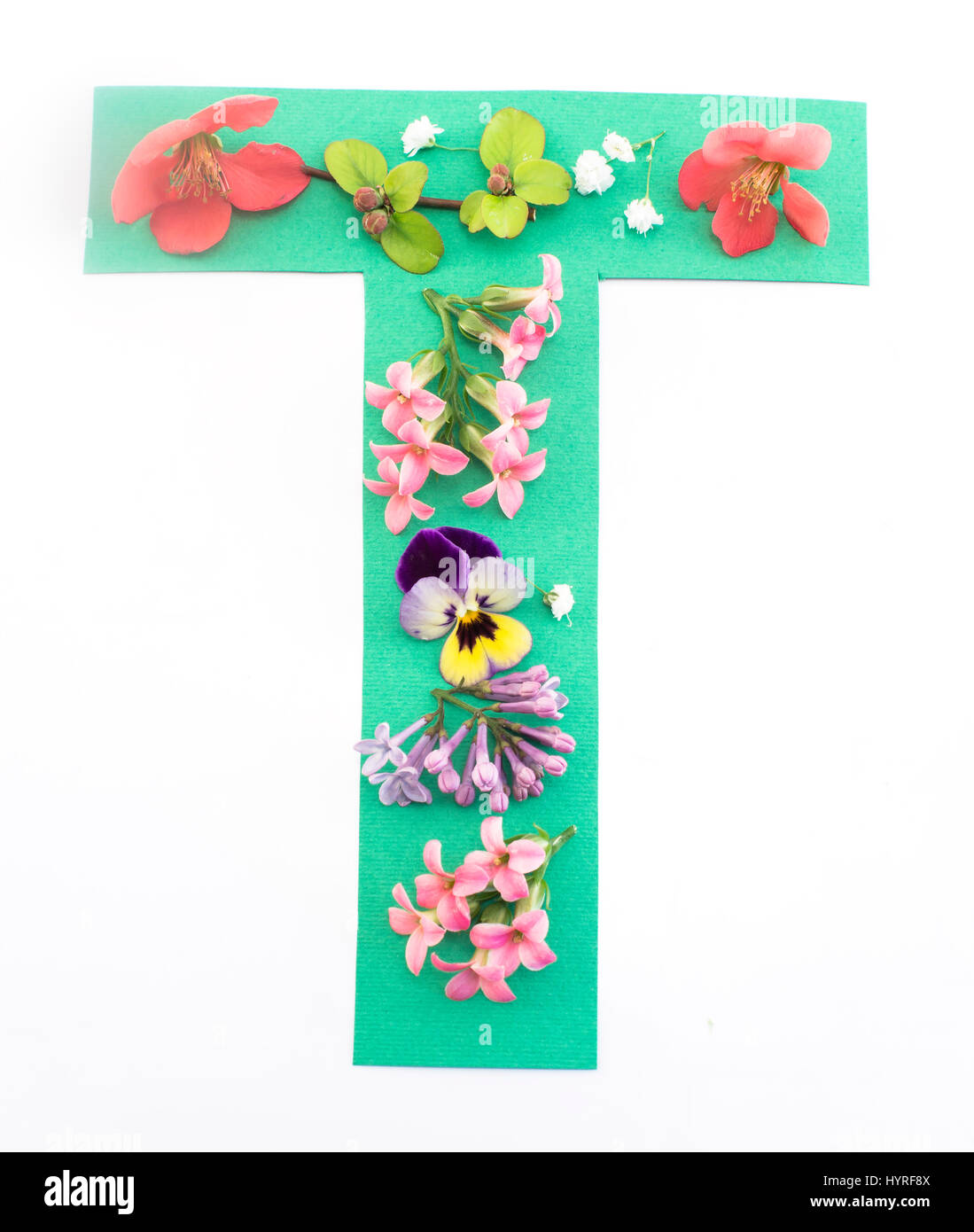 Buchstabe T gemacht von Frühlingsblumen und Papier auf weißem Hintergrund. Stockfoto