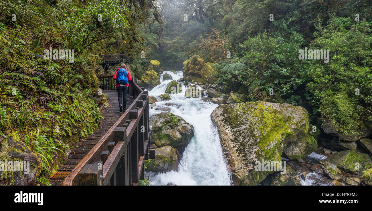 Wanderer auf Holzsteg entlang dem Fluss, Weg zum Lake Marian, Fjordland National Park, Te Anau, Southland Region Southland Stockfoto