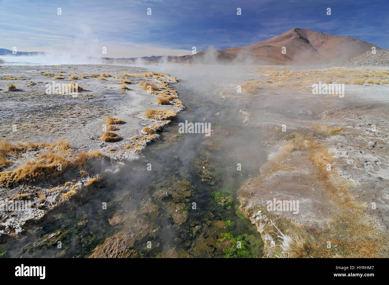 Bolivien, der Atacama-Wüste, heiße Quellen Stockfoto