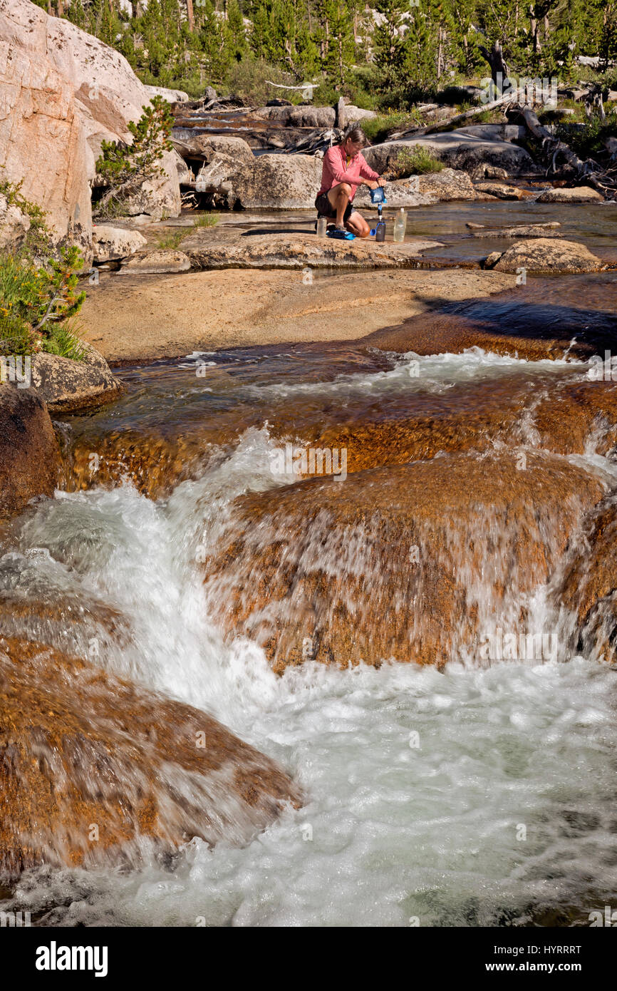 CA03202-00... Kalifornien - Backpacker Filter Wasser aus Budds Creek entlang der kombinierten PCT/JMT im Kings Canyon National Park. Stockfoto