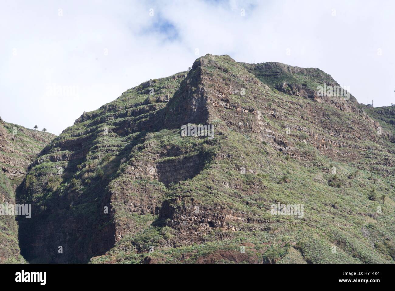 bewachsenen Berg von Valle Gran Rey auf La Gomera Stockfoto