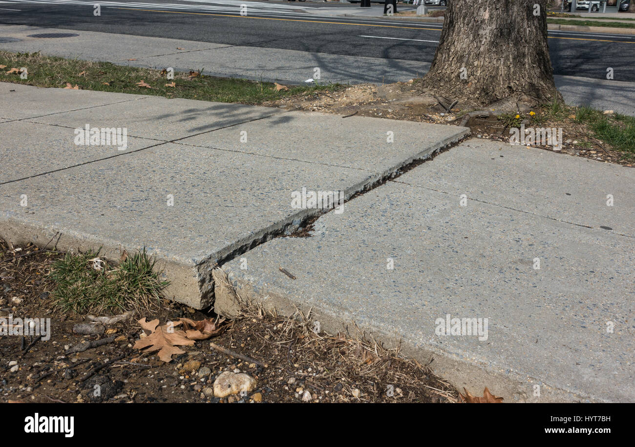 Unebenen Gehweg und Crack verursacht durch wachsende Baumwurzeln, ein Stadt-Thema die Menschen veranlassen, stolpern und selbst zu verletzen. Viele solche Bürgersteig Gefahren in DC Stockfoto