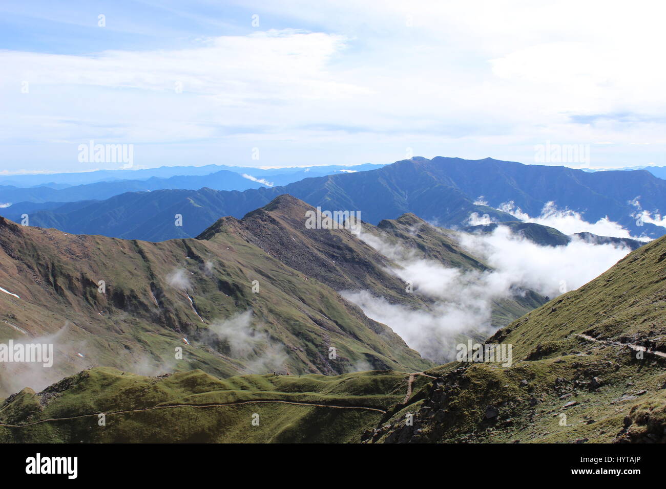 Die Wiesen des Himalaya Stockfoto