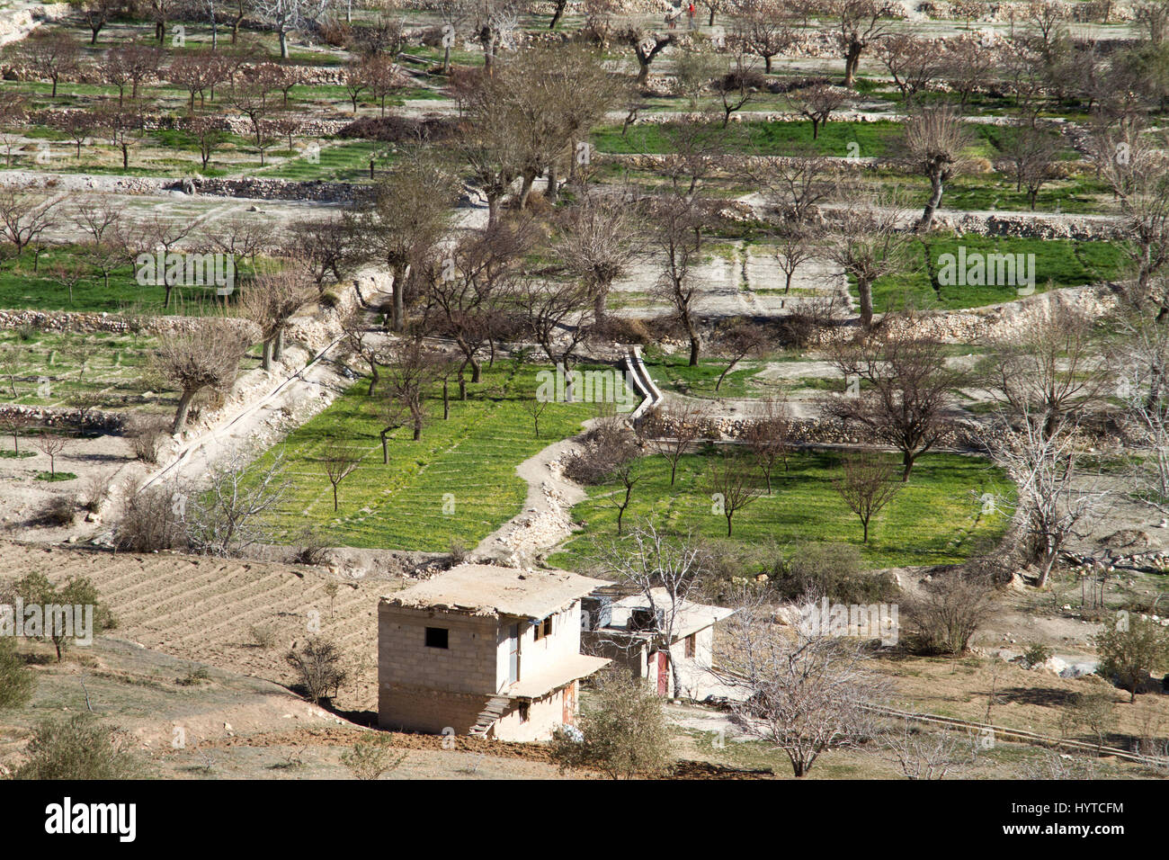 Farm in ländlichen cenral Syrien Stockfoto