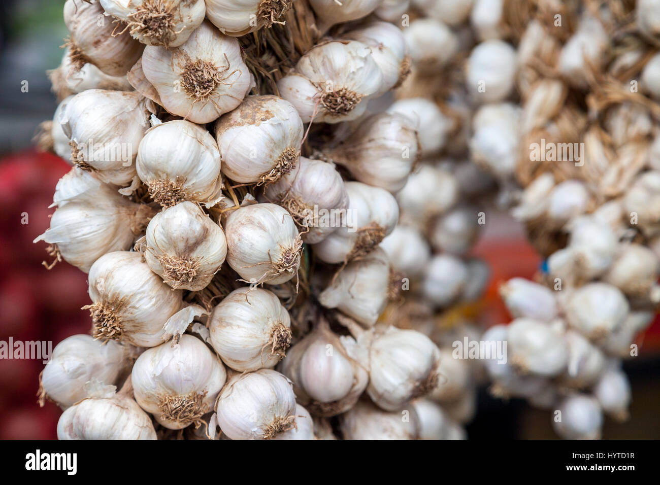 Knoblauch-Zöpfe für verkaufen auf dem serbischen Markt in Belgrad, Serbien-Bild von Knoblauch Zöpfe hängen in einem Markt in Belgrad, Serbien Stockfoto