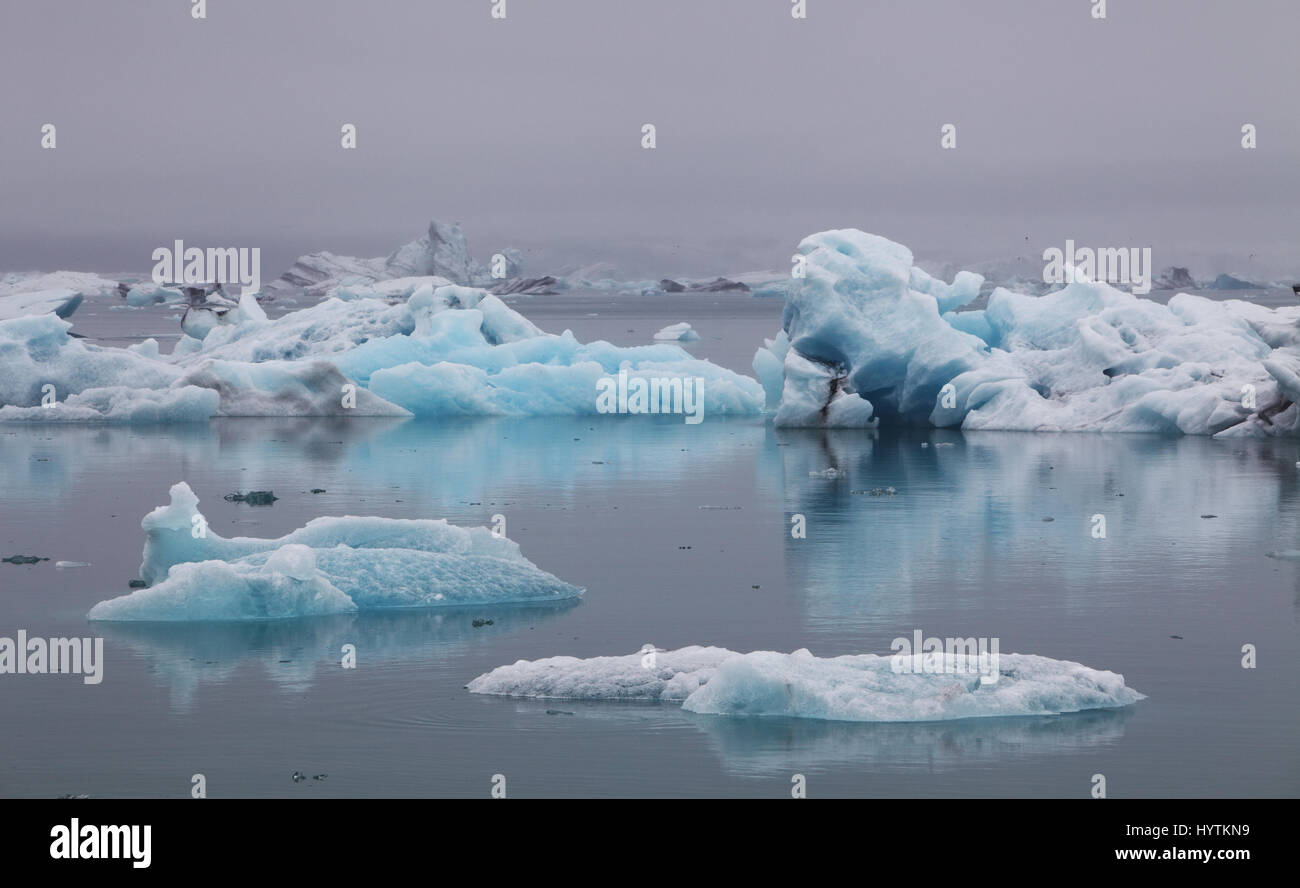 Blaue Eisberge schwimmen in Jökulsárlón Gletscher Lagook, Island Stockfoto