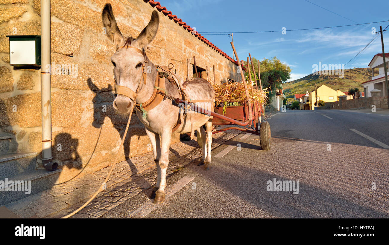 Portugal: Traditionelle Esel Wagen parken vor einem Granit Stein Landhaus Stockfoto