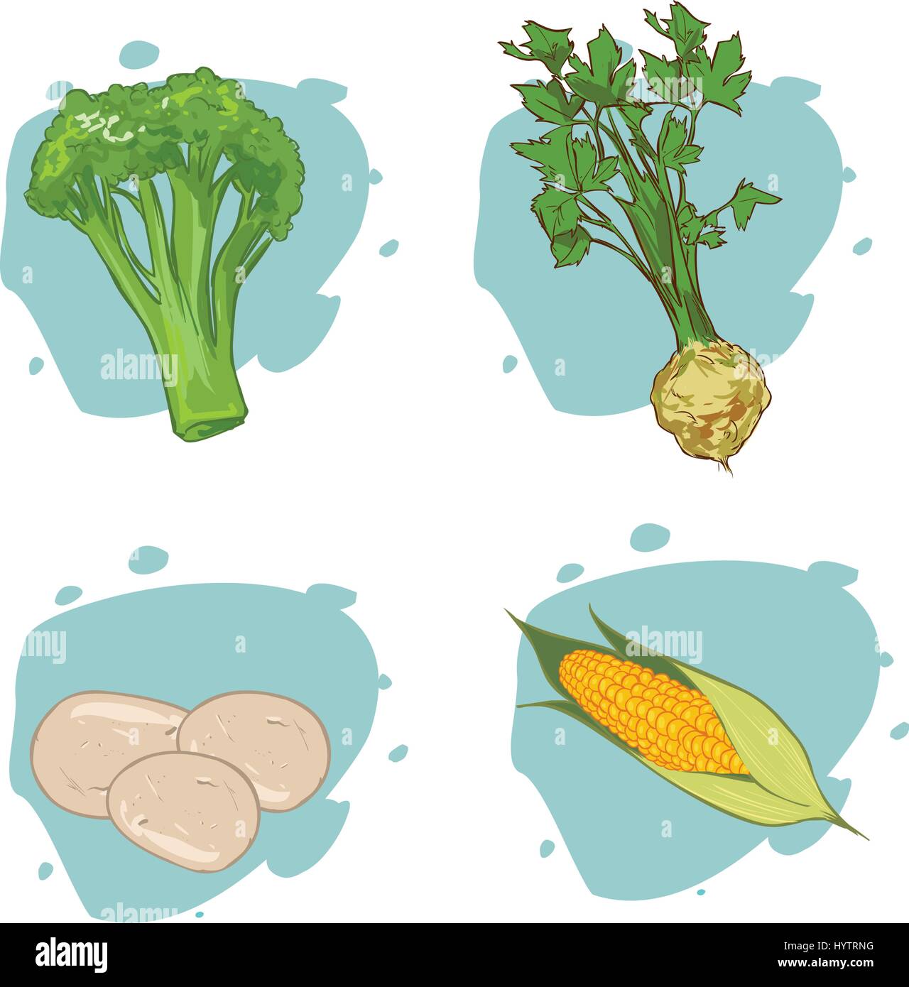 Vektor-Illustration von verschiedenem Gemüse Abbildung: Mais, Sellerie, Kartoffeln, Brokkoli Stock Vektor