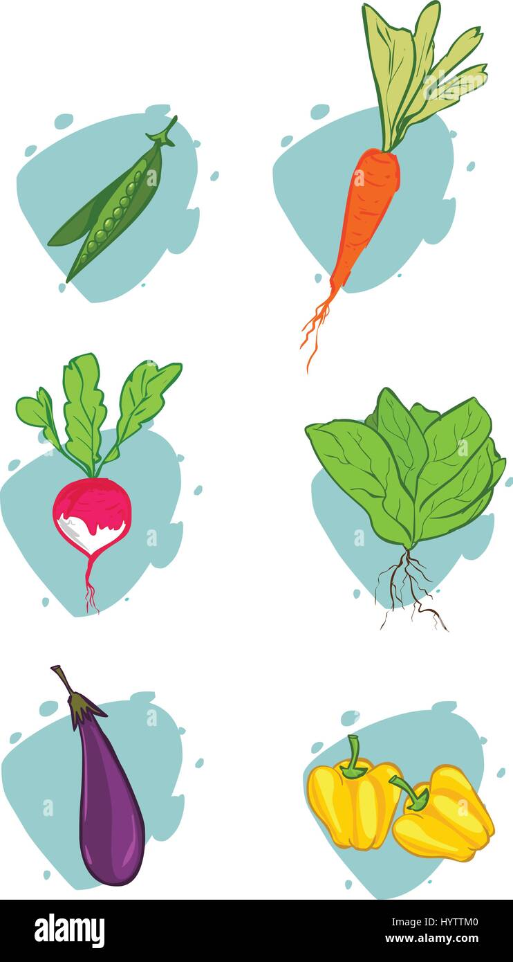weißem Hintergrund Vektor-Illustration ein Gemüse Stock Vektor