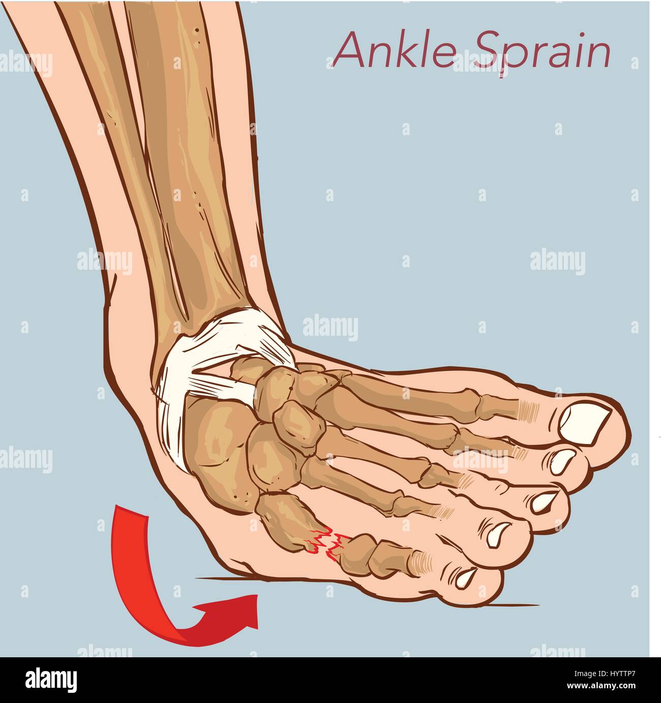 Vector Illustration einer Form der Zehen Stock Vektor