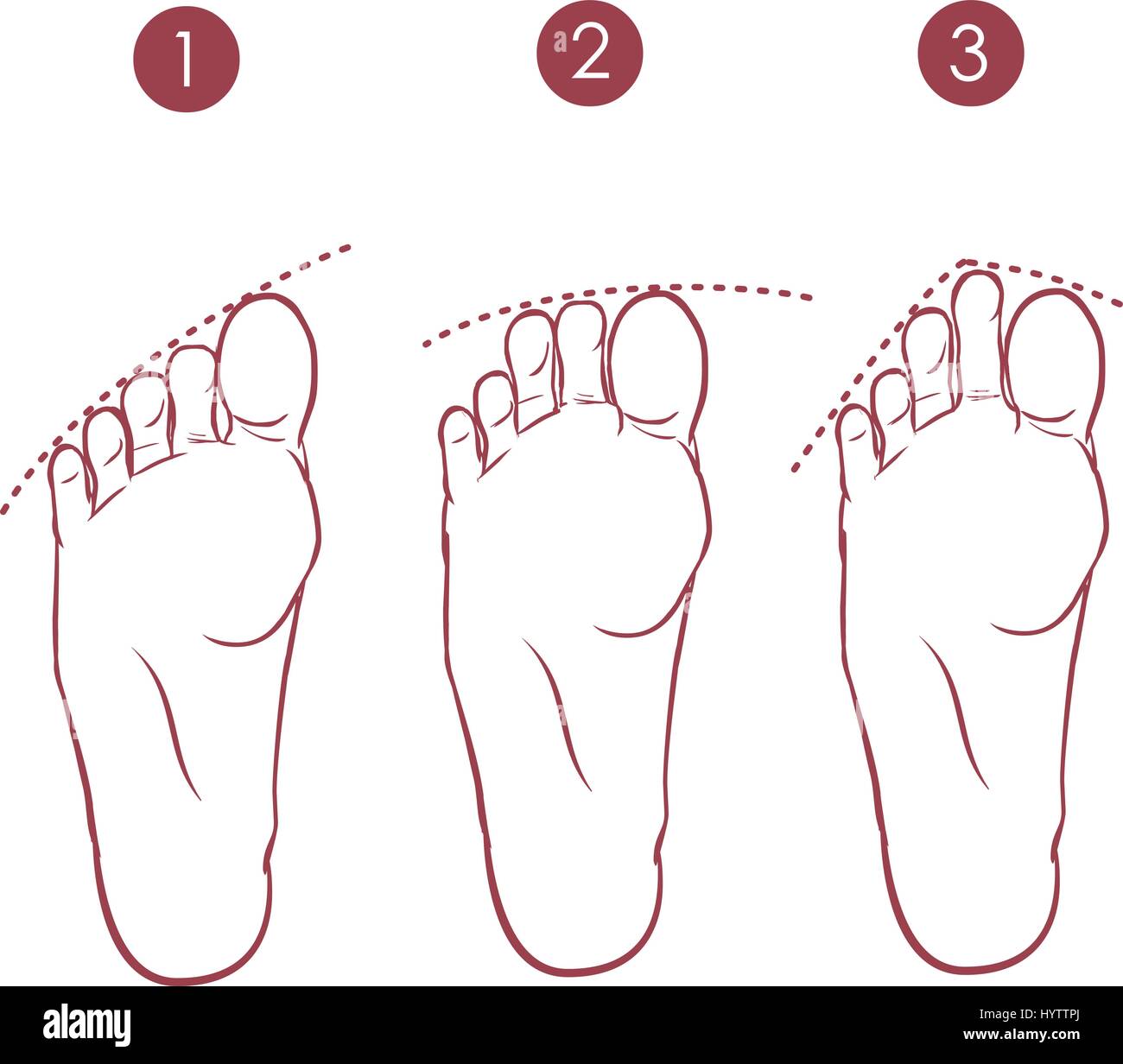 Vector Illustration einer Form der Zehen Stock Vektor