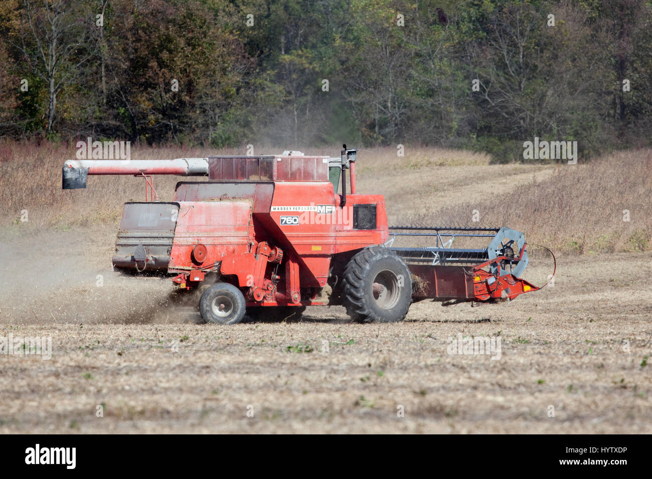 2010-Soja-Ernte im südöstlichen Iowa. Stockfoto