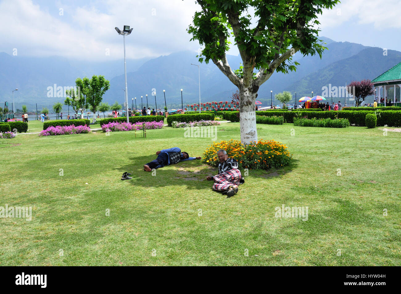Kashmir Dal See wunderschöner Park, grüne Wiese. Paradies auf Erden. (Foto Copyright © by Saji Maramon) Stockfoto