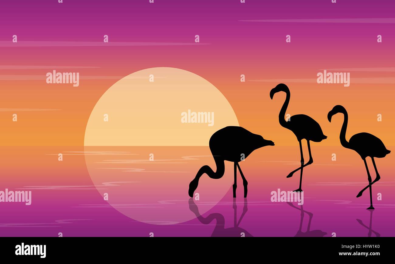 Auf Seenlandschaft mit Flamingo Silhouetten Stock Vektor