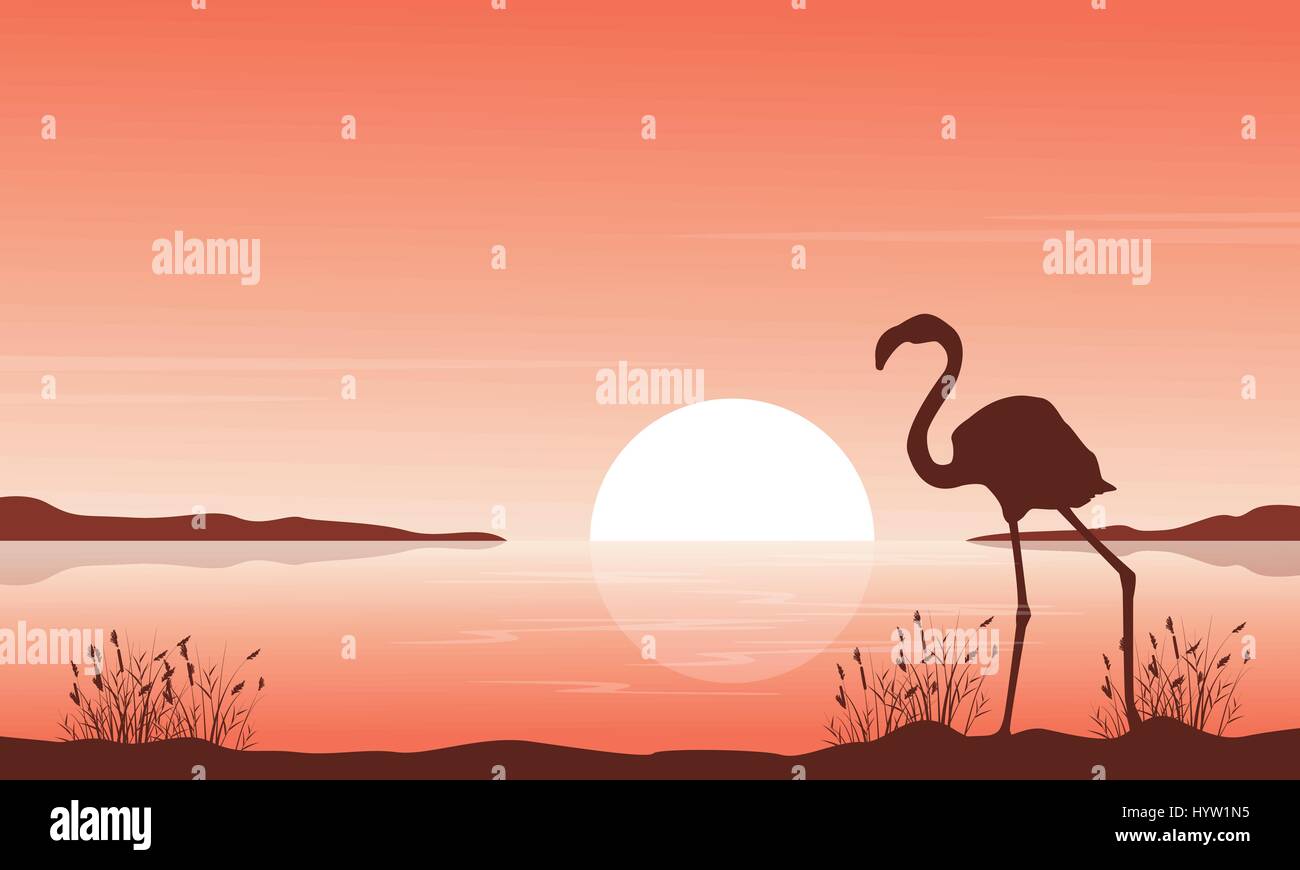 Silhouette der Flamingo auf Seenlandschaft Stock Vektor