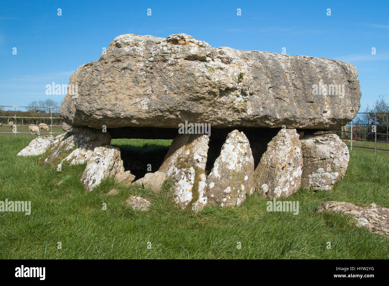 Lligwy neolithische Grabkammer, Anglesey, Wales Stockfoto