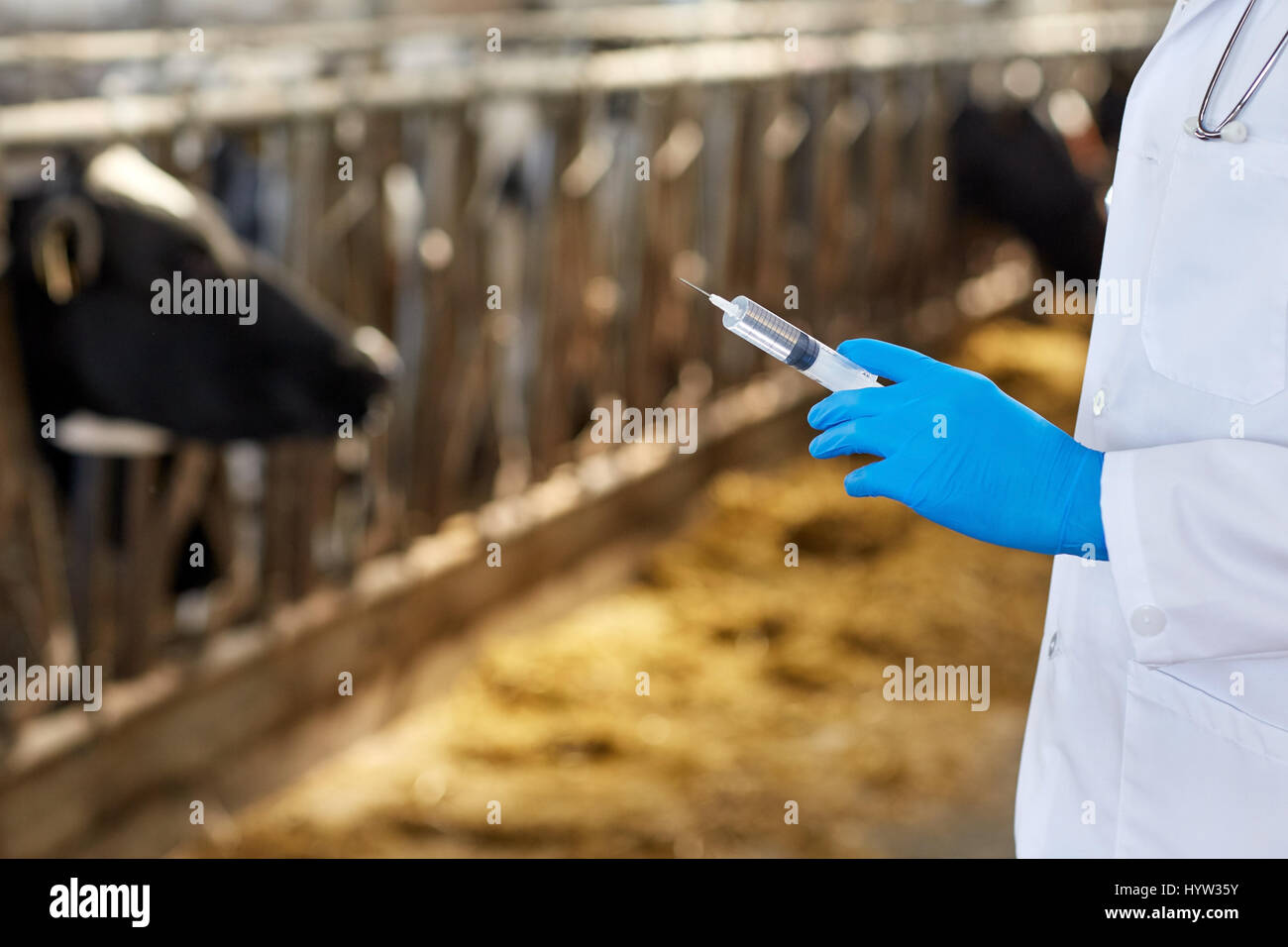 Tierarzt Hand mit Impfstoff in Spritze auf Bauernhof Stockfoto