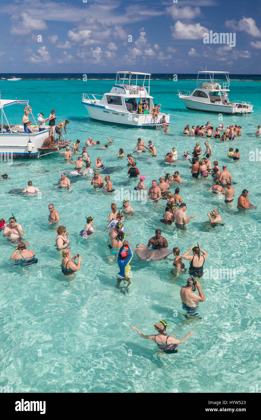 Touristen zu sammeln AtStingray Stadt, die eine Reihe von flachen Sandbänke in North Sound von Grand Cayman, Cayman-Inseln gefunden. Stockfoto