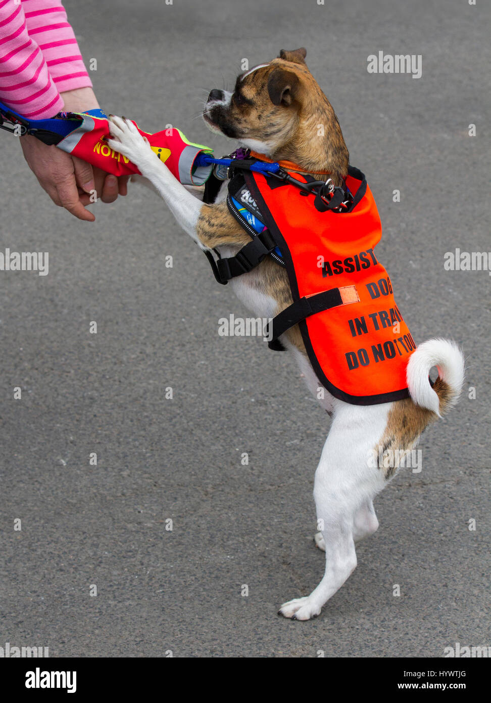 Die Größe Ist Wichtig Stockfotos und -bilder Kaufen - Alamy