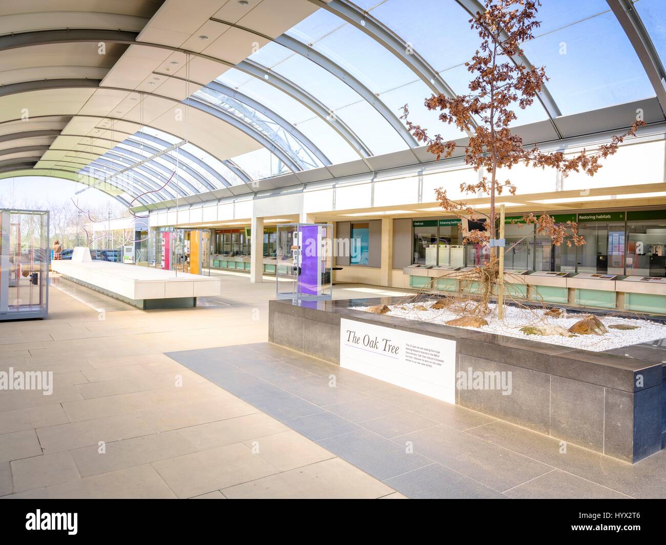 Wakehurst, UK. 7. April 2017. Wakehurst - Royal Botanic Gardens. Einführung der neuen Ausstellung im Millennium Seed Bank - Geheimnis Strukturen läuft ab sofort bis März 2018. Bildnachweis: Jim Holden/Alamy Live-Nachrichten Stockfoto