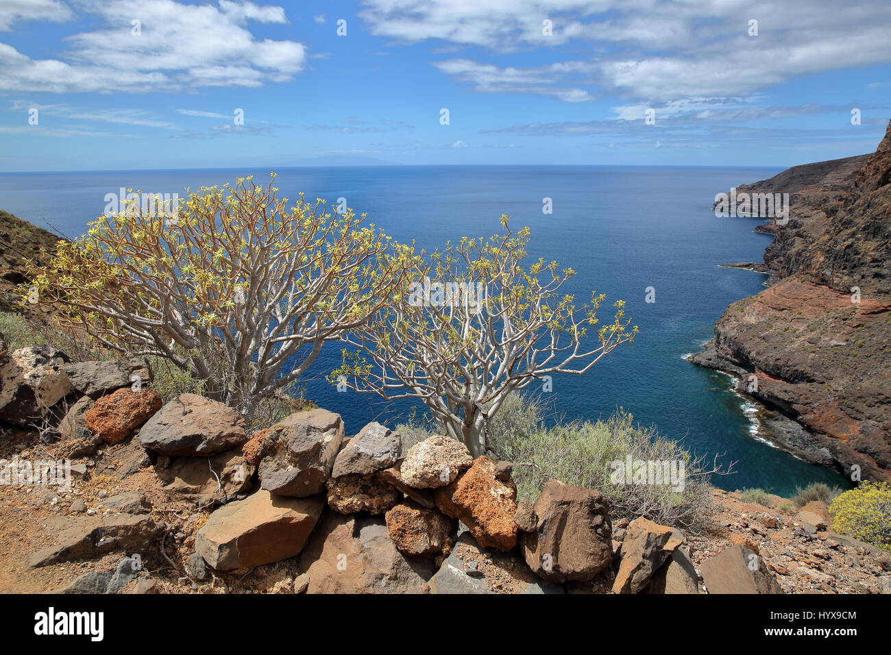 ALAJERO, LA GOMERA, Spanien: Blick auf die wilde Küste in der Nähe von Alajero vom Wanderweg Sendera Quise mit bunten Steinen und gelben Pflanzen Stockfoto