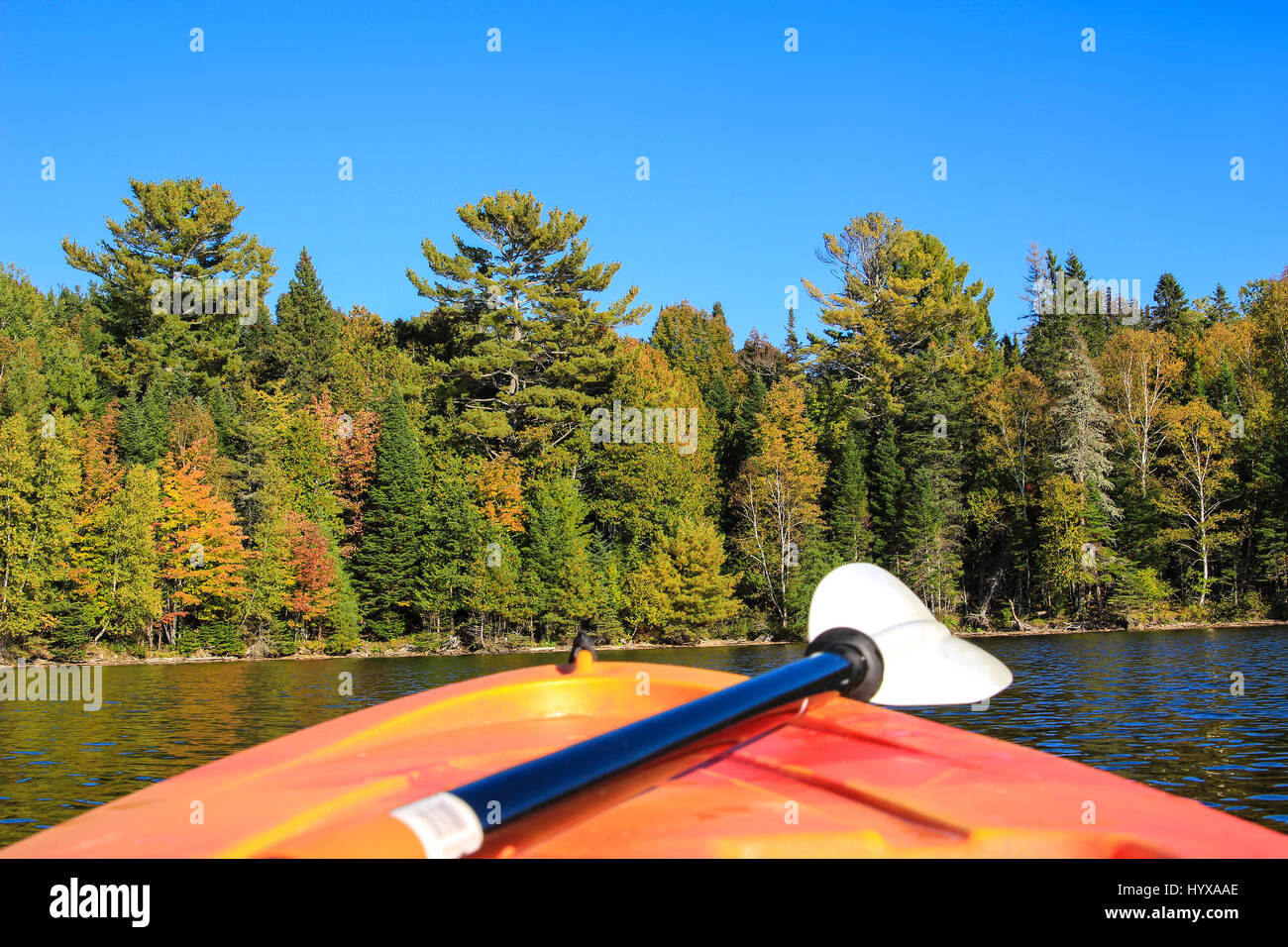 Leuchtend orange Kajak und Paddeln auf dem Wasser im Frühherbst in Atlantik-Kanada Stockfoto