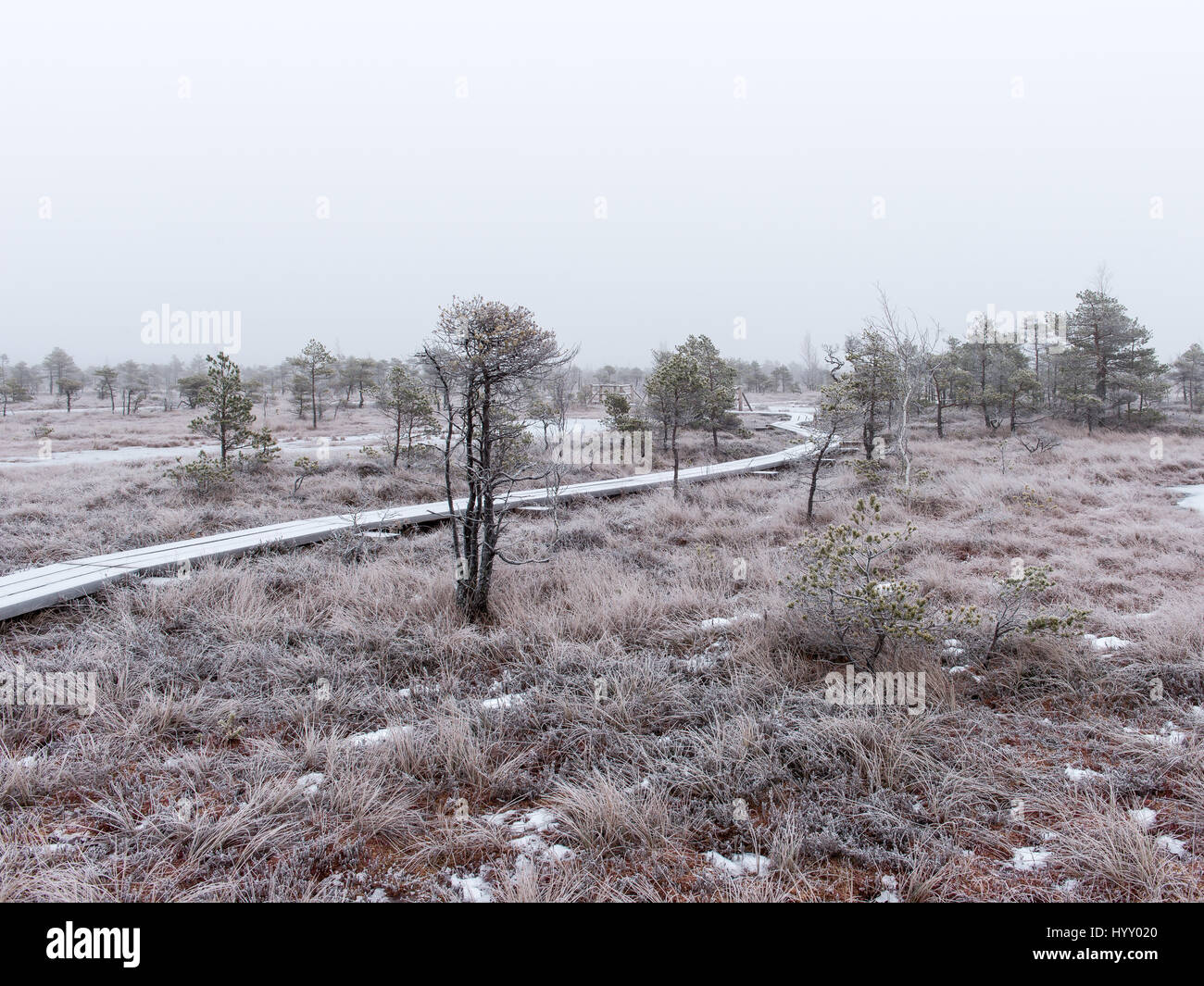 Holzsteg im frostigen Winter Moor Landschaft mit gefrorenen Natur Stockfoto