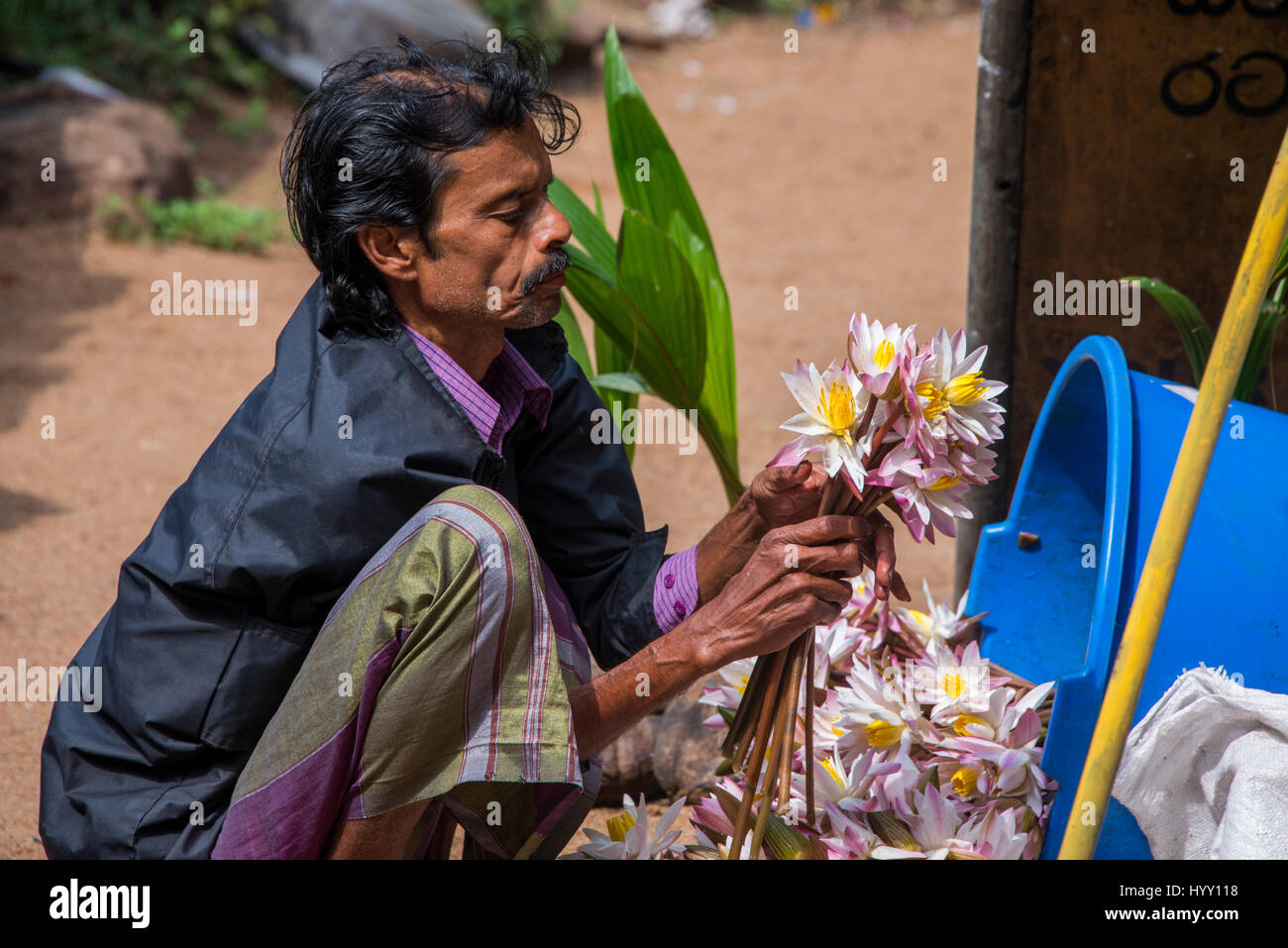Sri Lanka, Anuradhapura, "Ruinen-Stadt" Mahamevnawa Gärten, aka Mahamegha, einer der heiligsten Orte für Buddhisten. Mann bereitet Blumen für re Stockfoto