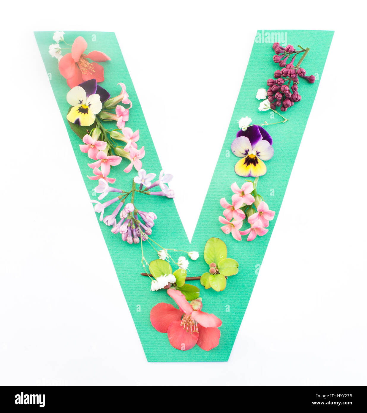 Buchstabe V gemacht von Frühlingsblumen und Papier auf weißem Hintergrund. Stockfoto