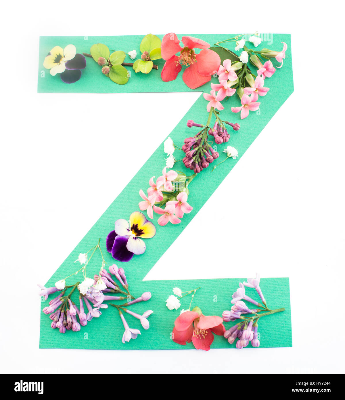 Buchstabe Z gemacht von Frühlingsblumen und Papier auf weißem Hintergrund. Stockfoto