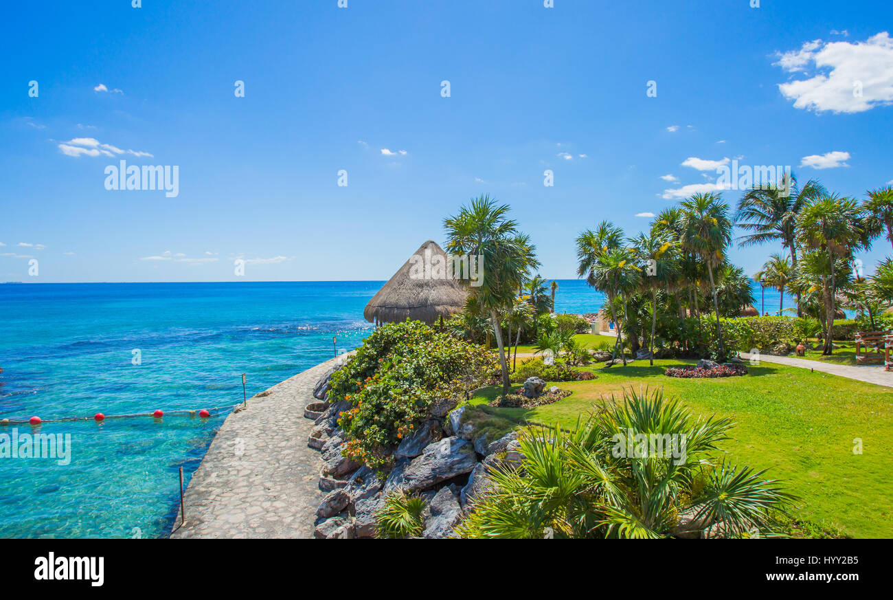 Tropischer Strand im karibischen Meer, Cancun, Mexiko Stockfoto