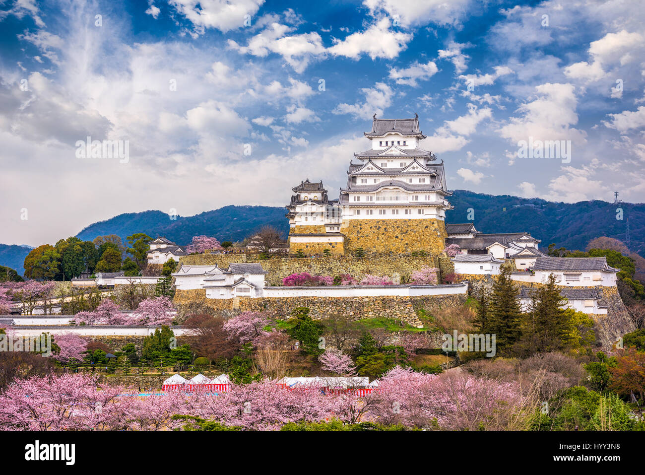 Himeji, Japan in Himeji Castle während Kirschblüte Frühjahrssaison. Stockfoto