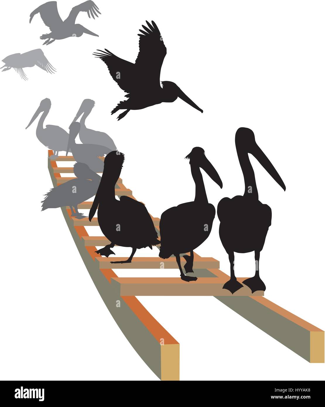 Pelikane auf der Leiter Stock Vektor