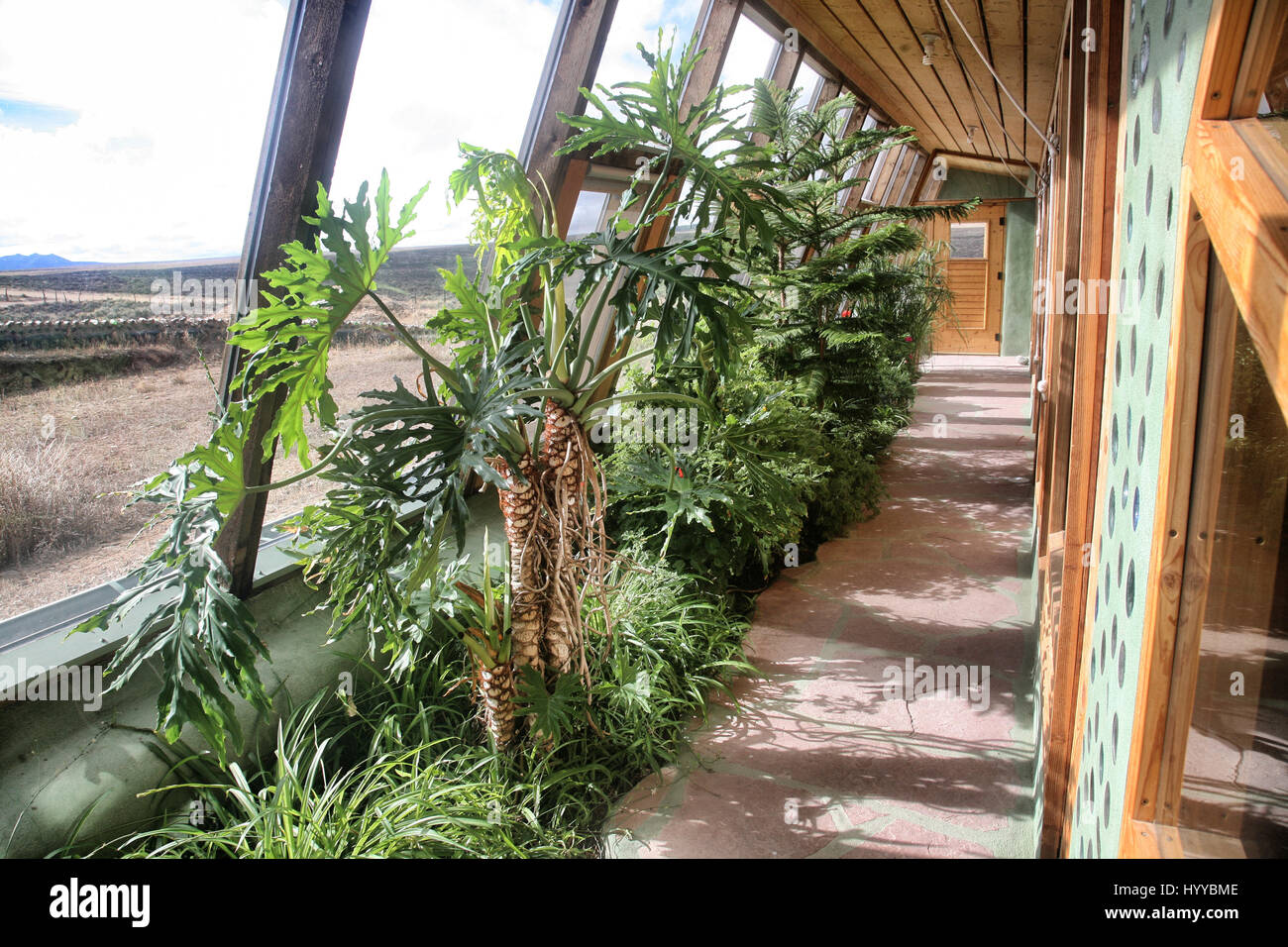 Euro Earthship Gewächshaus. NEW MEXICO, USA: Diese Öko-Häuser gebaut, um Naturkatastrophen überleben konnte Sie halten sicher während Armageddon - wenn Sie die fürstliche Summe von $1 .5million leisten können. Beeindruckende Bilder zeigen die fremd aussehende Außenaufnahmen von diesen Häusern, bekannt als Earthships, sowie eine Mauer aus Reifen und der Lebensmittelerzeugung Gewächshaus, das zeichnet sich in jeder Einheit. Die Schnappschüsse zeigen die Gemeinschaft nach der Katastrophe überleben von Earthship Biotecture gebaut und sind so autark, sie die Auswirkungen des Klimawandels, umkehren könnte nach Angaben des Unternehmens. Stockfoto