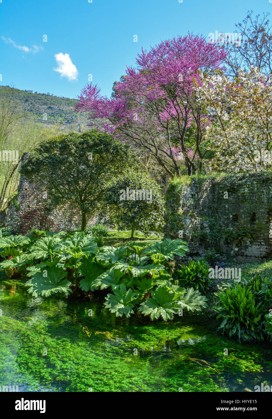 Ninfa Gärten, Provinz Latina, Region Latium Stockfoto