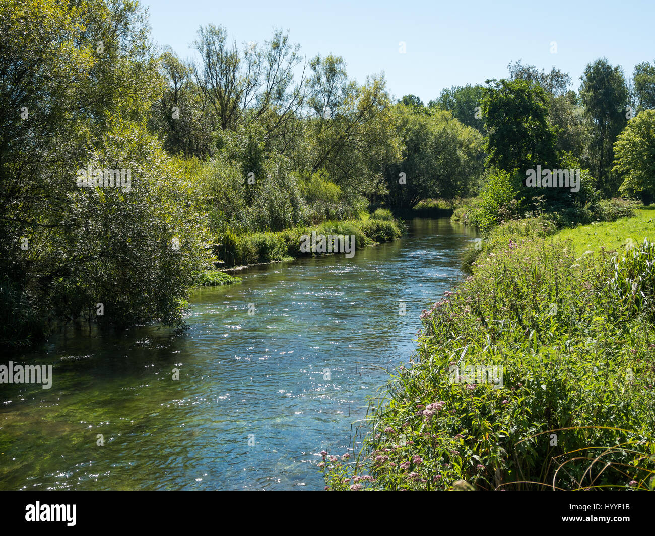 Der Fluss Itchen fließt durch die Landschaft an einem heißen, Sommertag Stockfoto