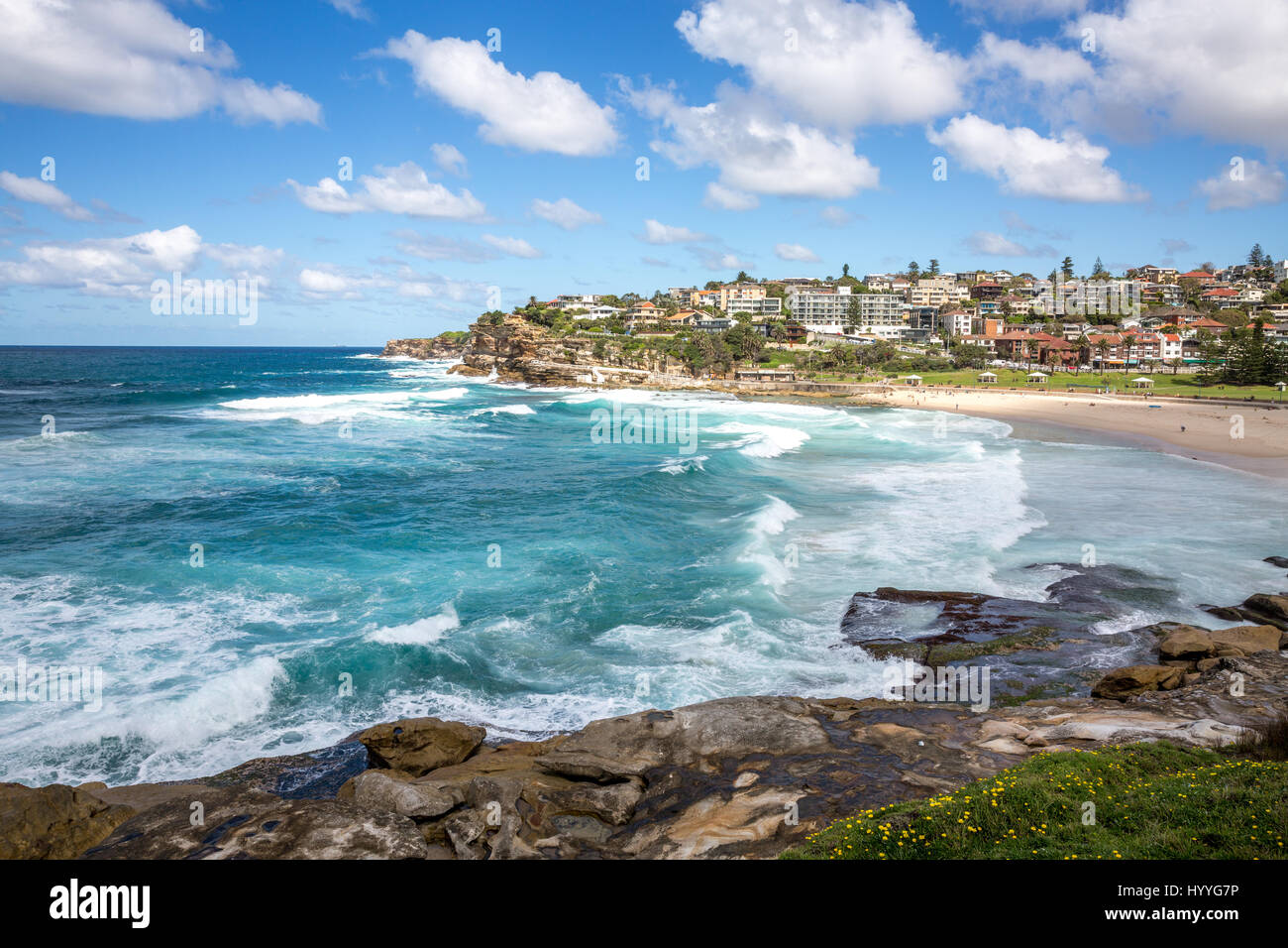Blick nach Süden auf den Vorort von Bronte und Bronte Beach in den östlichen Vororten Sydneys, New-South.Wales, Australien Stockfoto