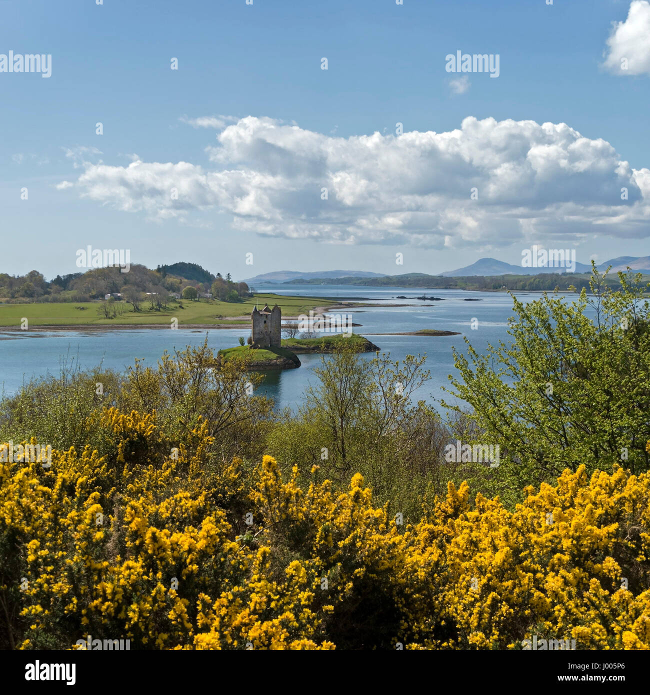 Castle Stalker an der schottischen Westküste am Ufer von Loch Laich und Loch Linnhe, Appin, Argyll, Schottland, Großbritannien. Stockfoto