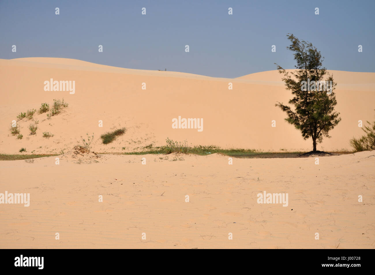 Kleine Oase mitten in der Wüste Stockfoto Kleine Oase mitten in der Wüste Stockfoto