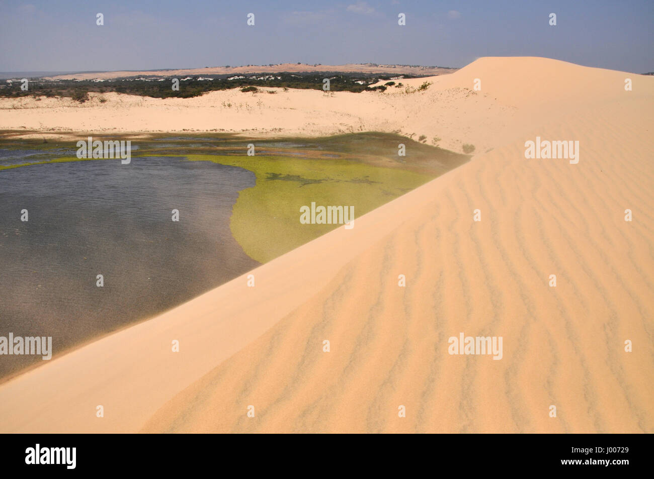 Kleine Oase mitten in der Wüste Stockfoto Kleine Oase mitten in der Wüste Stockfoto